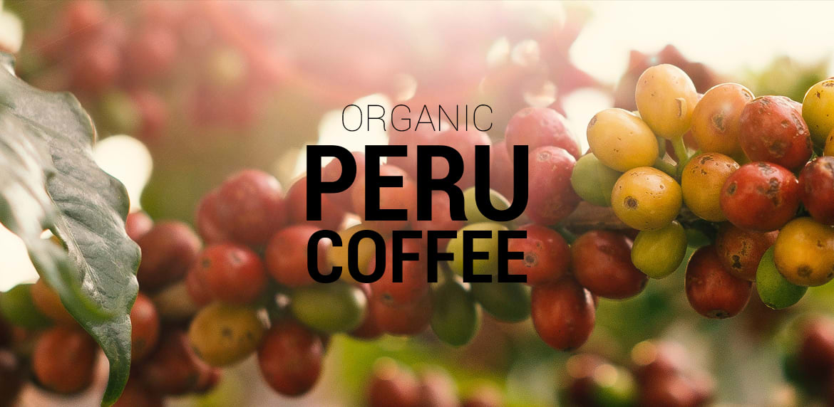Organic Peru Coffee kawa