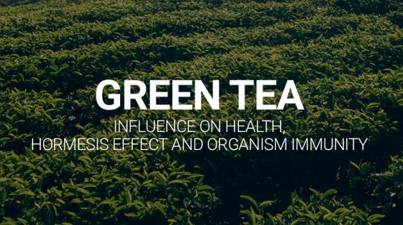 Green tea - influence on cognitive functions and alpha brain wave activity