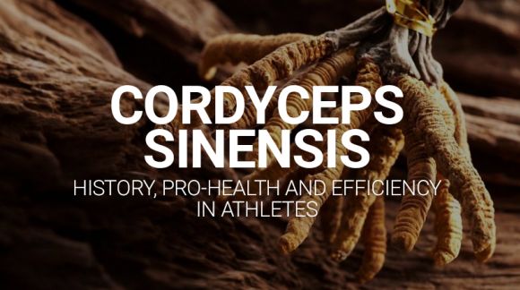 Cordyceps sinensis - history, pro-health and efficiency in athletes